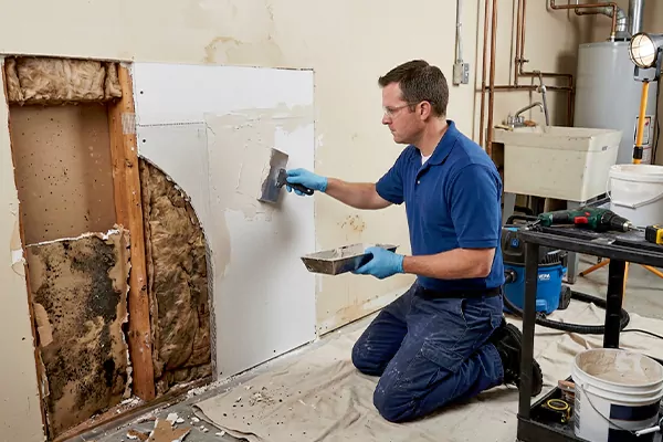 Mold and Drywall Repair Tacoma