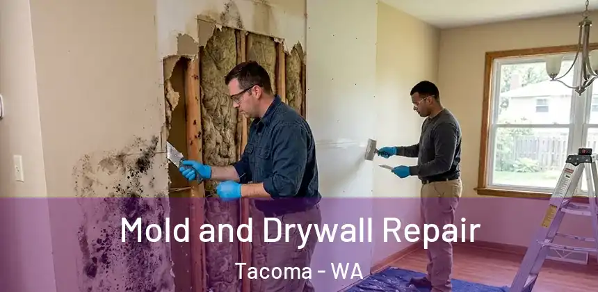  Mold and Drywall Repair Tacoma - WA