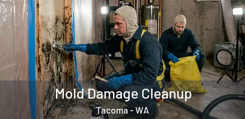  Mold Damage Cleanup Tacoma - WA