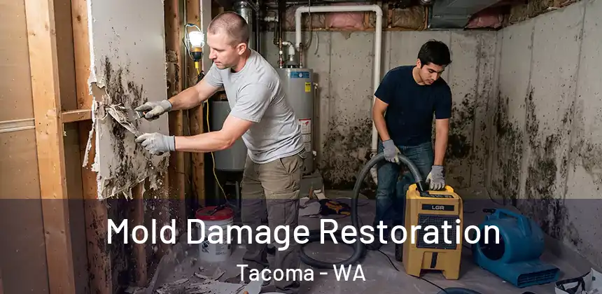 Mold Damage Restoration Tacoma - WA