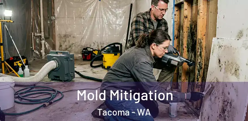  Mold Mitigation Tacoma - WA
