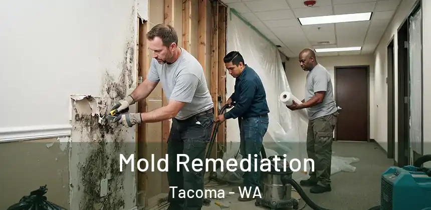 Mold Remediation Tacoma - WA