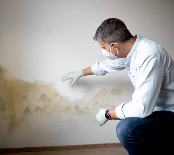 Mold Removal Service in Tacoma, WA