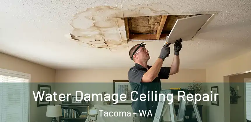  Water Damage Ceiling Repair Tacoma - WA