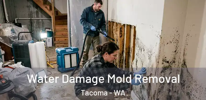  Water Damage Mold Removal Tacoma - WA
